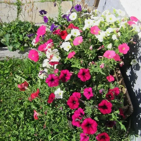 Daint Chasa Zanoli Parterre 公寓